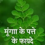 Munga-patta-ke- fayde.jpg , vegetable leaf